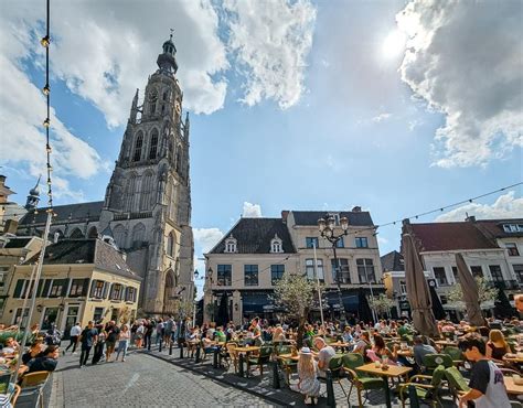 Breda Holy Moly Trip: An In-depth Ticket Review