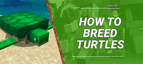 Breed Turtles in Minecraft: Step-by-Step Process