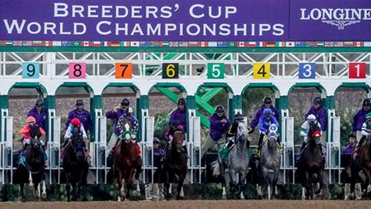 Breeders Cup Results 2024