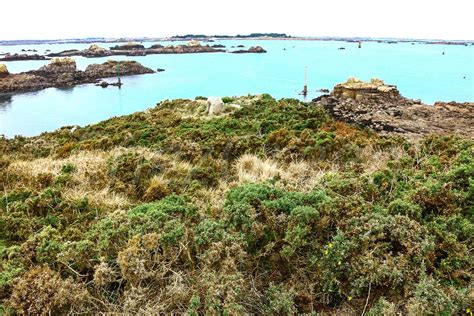 Brehat Landscapes: Your Essential Guided Tour Review