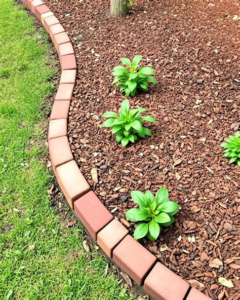 Brick Edging Texture