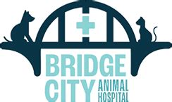 Top-Notch Veterinary Care at Bridge City Animal Hospital: Your Pet's Health is Our Priority