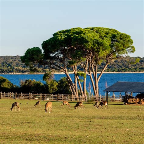 Brijuni National Park overview