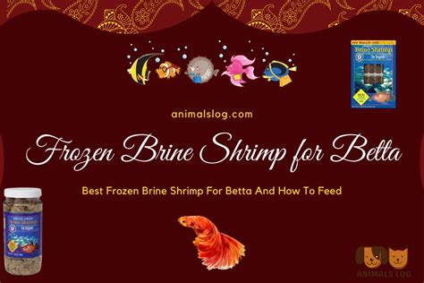 Brine Shrimp For Betta