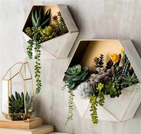 20 Cute Indoor Succulent Plant Decor Ideas To Beautify Your Home