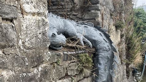 Bristol Crocodile Keeper Experience: Full Review and Guide