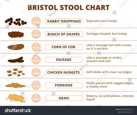 Bristol Stool Chart Wiki