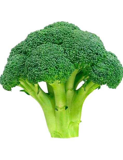 Broccoli Free Download