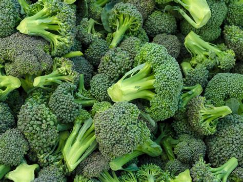 Broccoli Storing Image