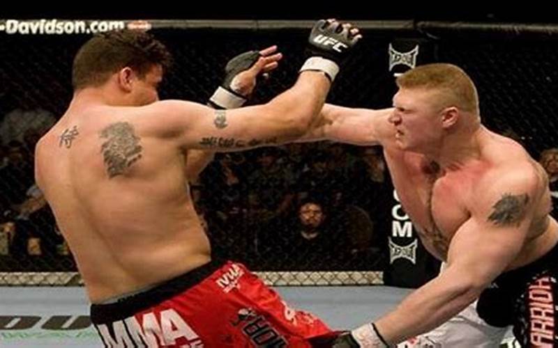 Brock Lesnar And Frank Mir Fighting In The Octagon
