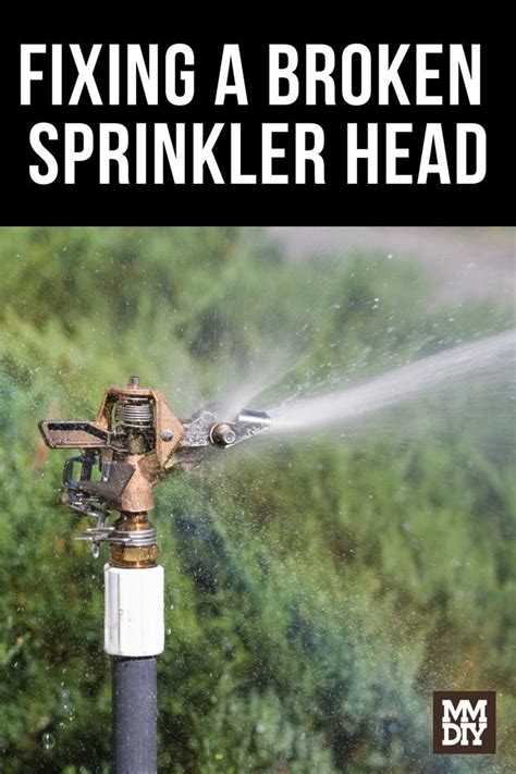 Broken Sprinkler Head