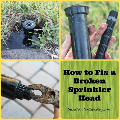 Broken Sprinkler Head Repair