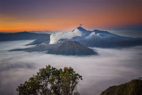 Bromo Fog