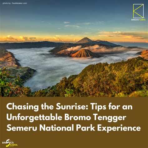 Bromo Maximize Experience