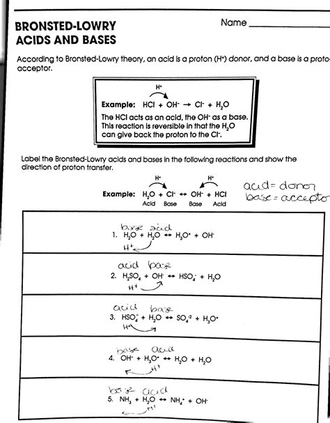 Bronsted Lowry Acids And Bases Worksheet Answers