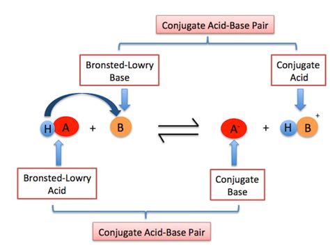 Unlocking the Chemistry Magic: Delving into the Fascinating World of Bronsted-Lowry Base Definition