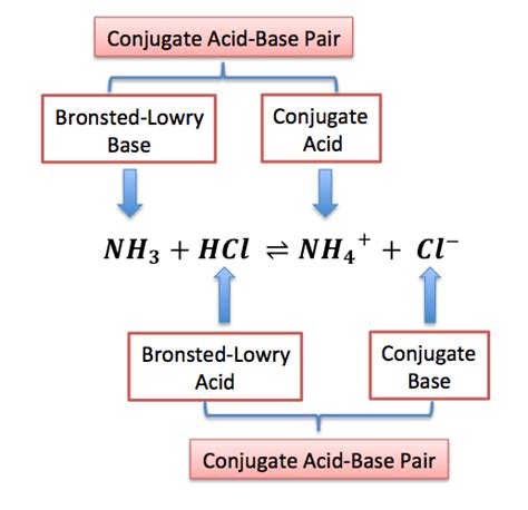 Bronsted Lowry Acids
