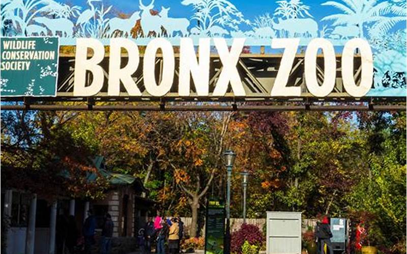 Bronx Zoo Events