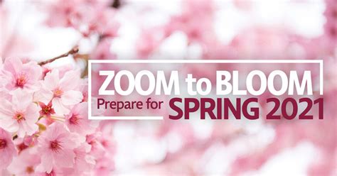 Brooklyn College Spring 2024 Classes