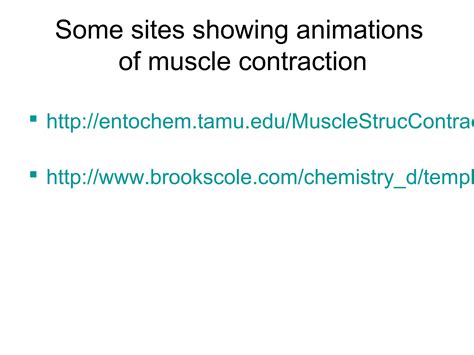 Explore Physiology with Brookscole Muscle Animation - Your Ultimate Learning Tool.