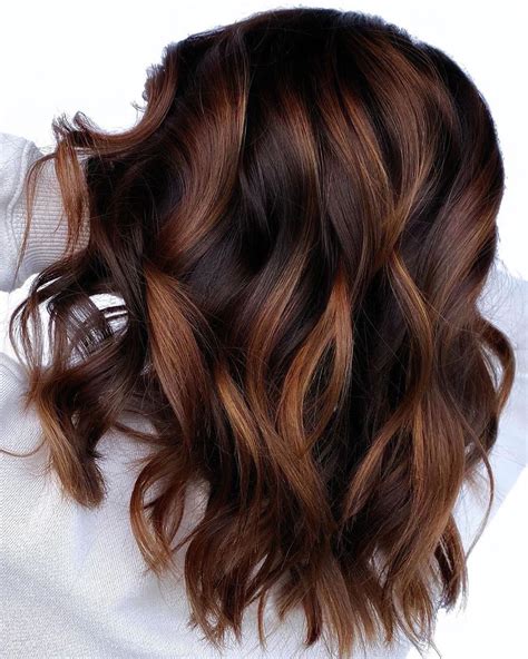 Brown Hair with Highlights Looks and Ideas Trending in December 2019