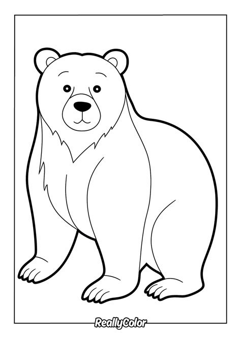 Brown Bear Color Page