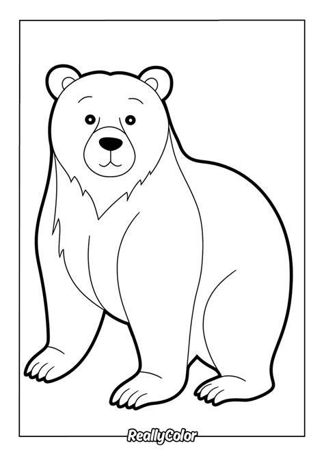 Brown Bear Color Pages
