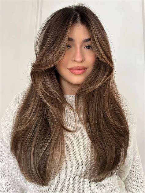 Brown Hair Color Medium