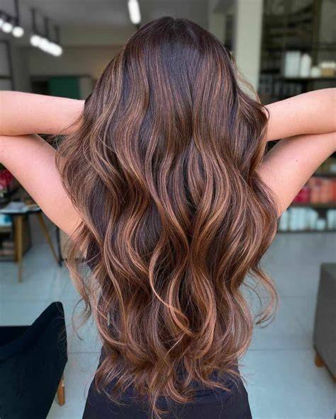Brown Hair Inspiration