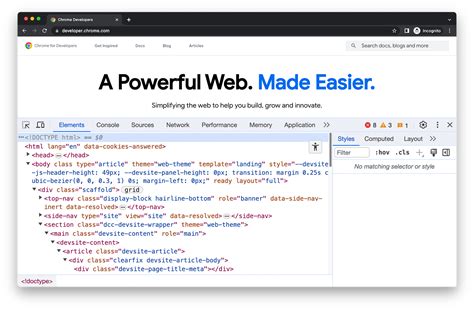 Browser Developer Tools