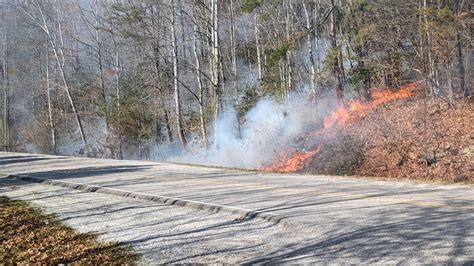 Dunbarton police, fire investigating brush fire