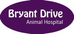Bryant Drive Animal Hospital: Your Trusted Partner in Comprehensive Pet Care