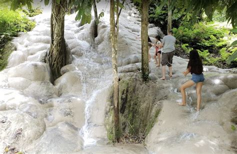 Bua Tong Waterfall Sticky