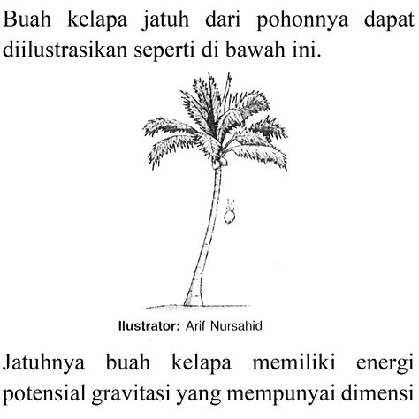 Buah kelapa Taman buah, Buah, Pohon buah