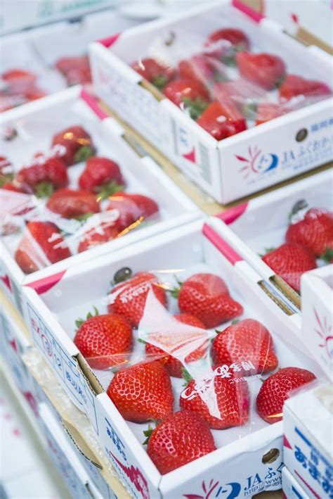 Buah Strawberry dalam Budaya Makanan Jepang