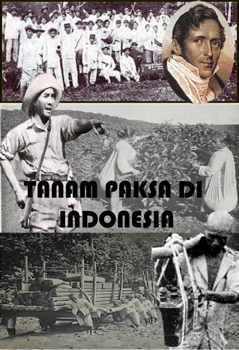 Buatlah Poster Yang Menggambarkan Pelaksanaan Tanam Paksa Di Indonesia