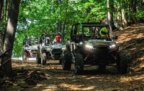 Bucharest Buggy Quad Tour Booking