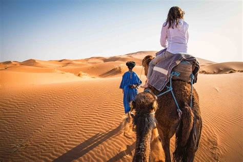 Budget Desert Tour