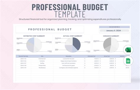 Budget Professional Options: What to Look For