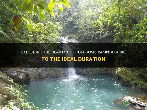 Budgeting for Cockscomb Basin visit