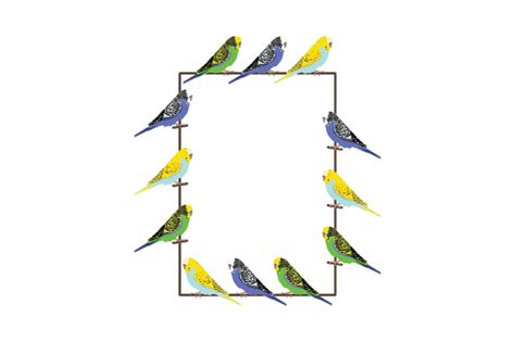 Download Budgie Themed Border SVG File - SVG Design Commercial Use Free PSD Mockups