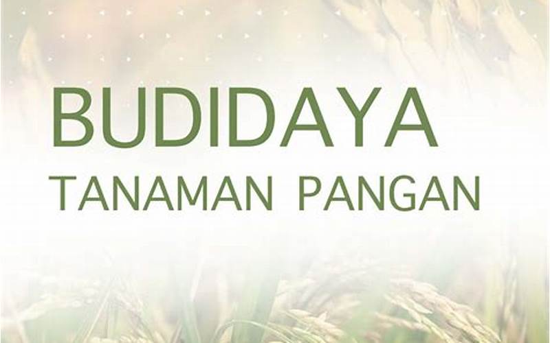 Budidaya Tanaman Pangan