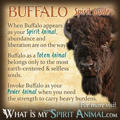 Buffalo as a Symbol of Leadership and Guidance