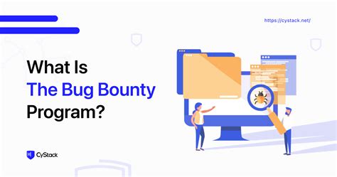 Bug bounty program