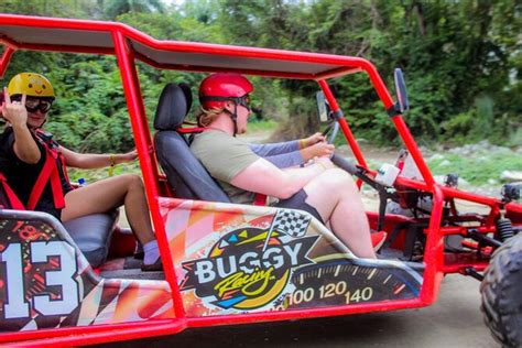 Overview of a Buggy Excursion