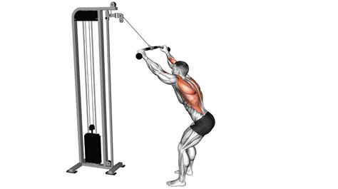 Build Muscle Fast: Home Workout Cables