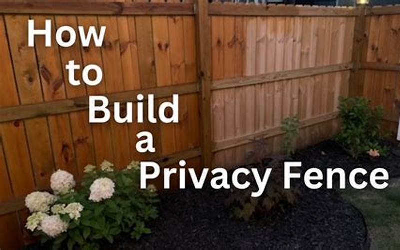 Building A Privacy Fence Youtube: Pros And Cons