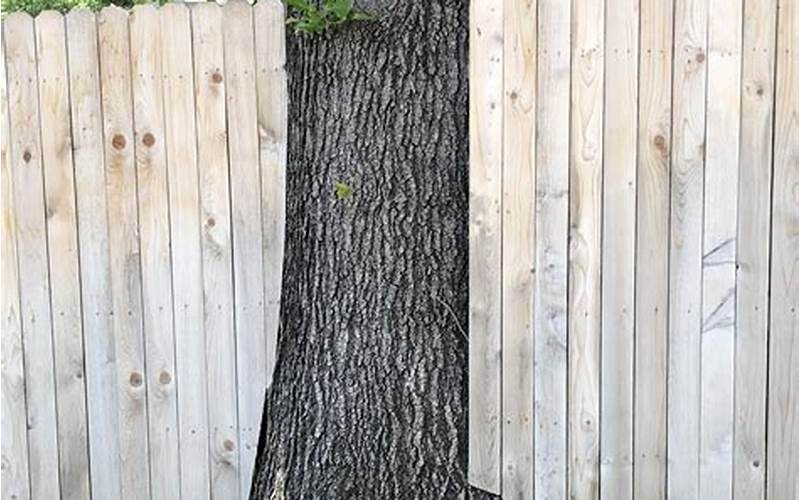 Building Privacy Fence Around Tree: Pros And Cons