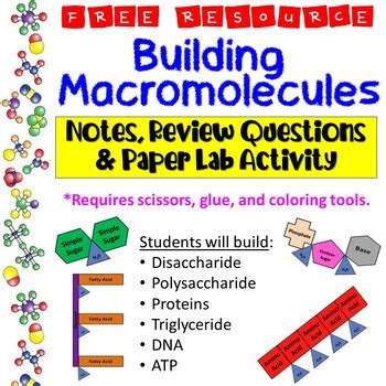 Building Macromolecules Activity Worksheet