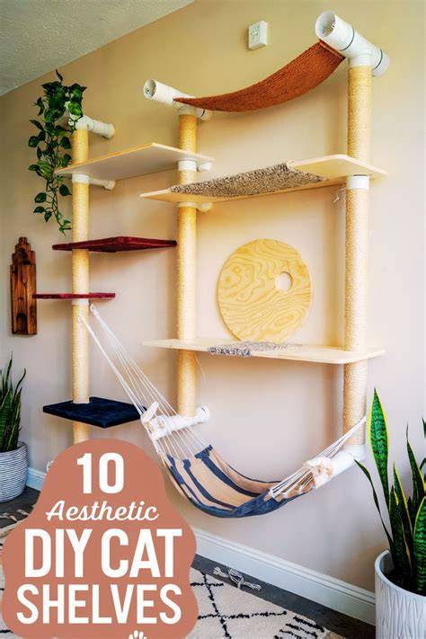 Building Your DIY Cat Shelves Step-by-Step Guide